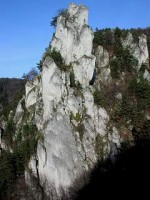 /album/fotogaleria1/sokoliav320-jpg/