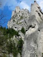 /album/fotogaleria1/organy320-jpg/