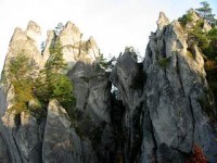 /album/fotogaleria1/gotic320-jpg/